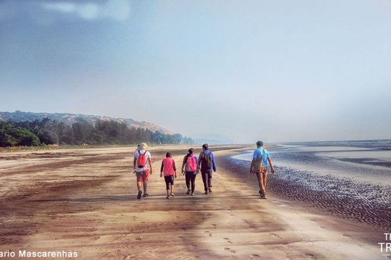 Why Beach Trek is Fun?