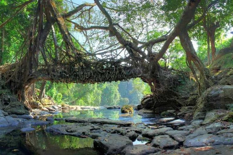 Why you should visit Meghalaya?