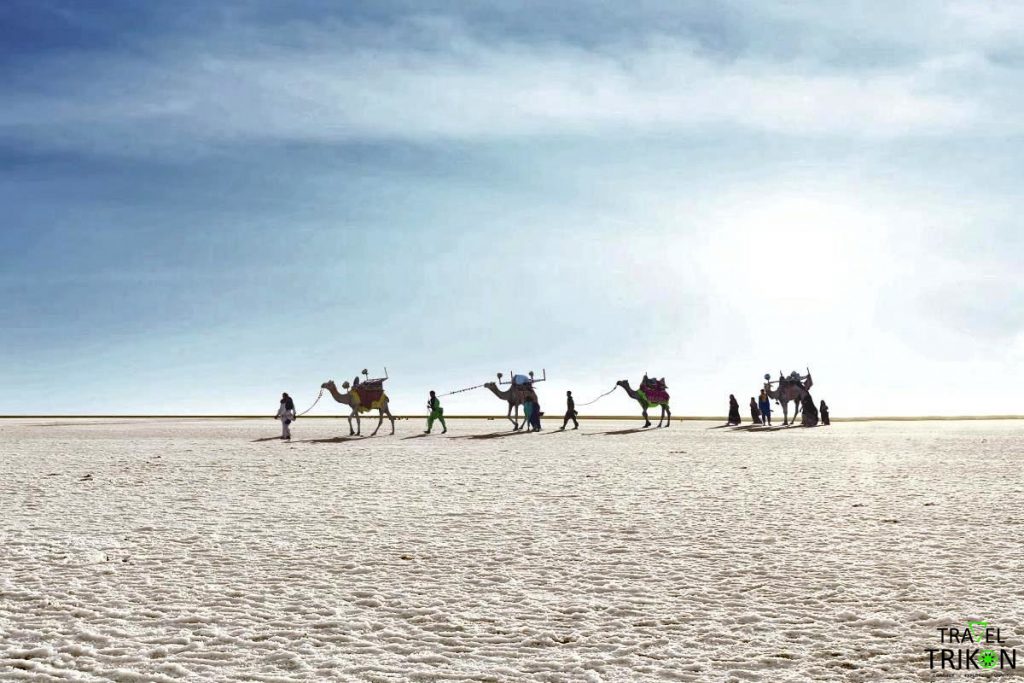 Rann of kutch festival 2019