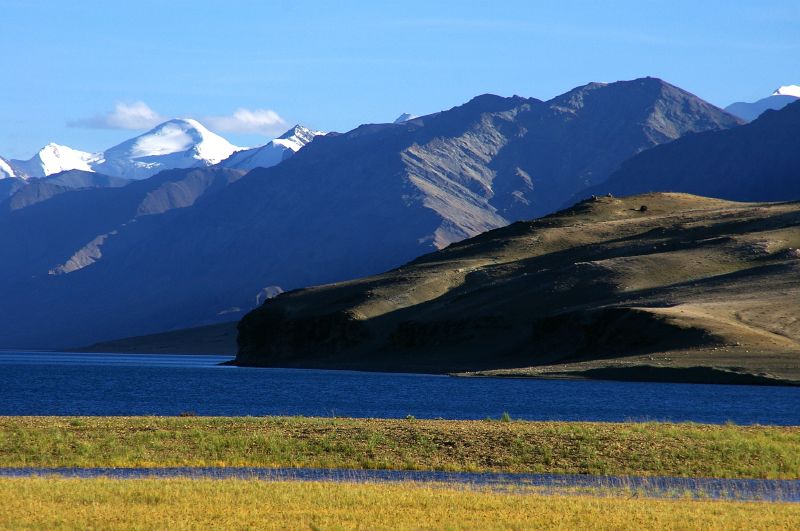 Tso Moriri Leh Ladakh