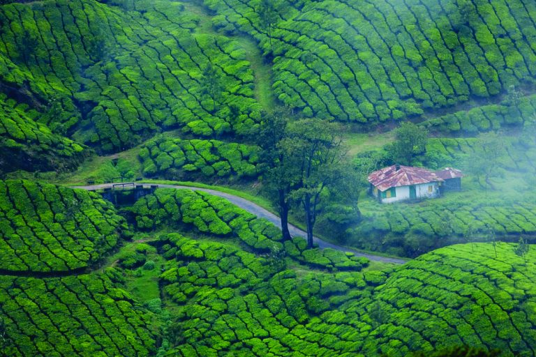 5 Western Ghats – Breathtakingly Beautiful