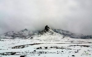 5 Best Places to Visit in India This Season