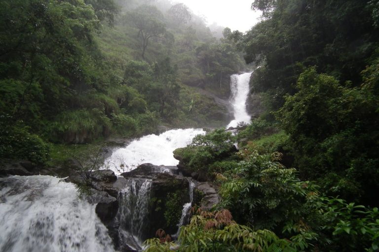 Wayanad: Where Nature’s Tapestry Unfolds