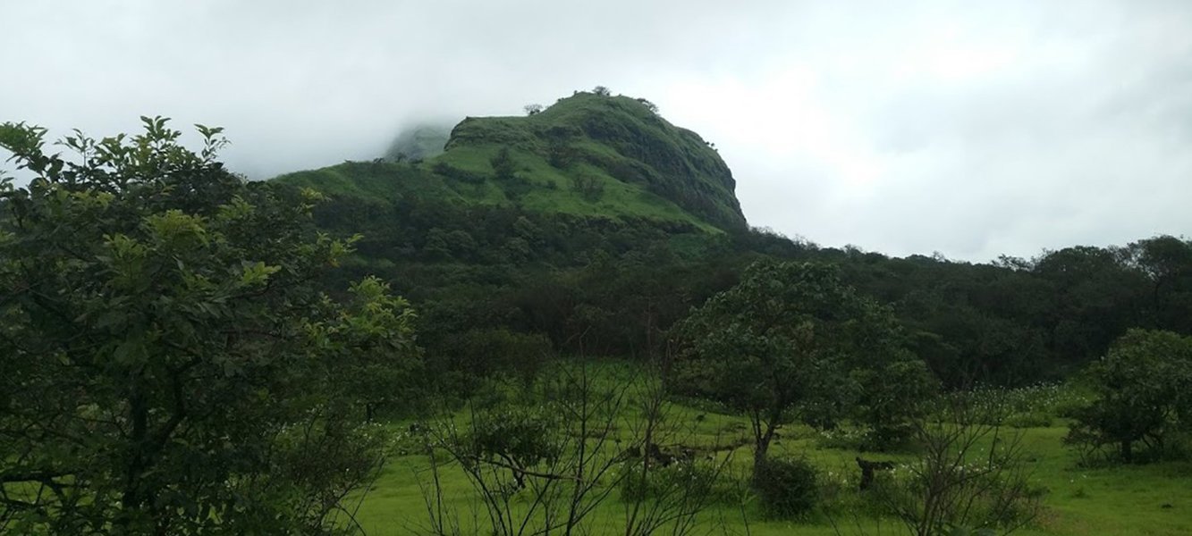 Night Trek to Andharban Forest - Tour