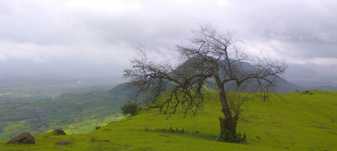 Garbett Plateau Night Trek - Pre Monsoon Cloud Special