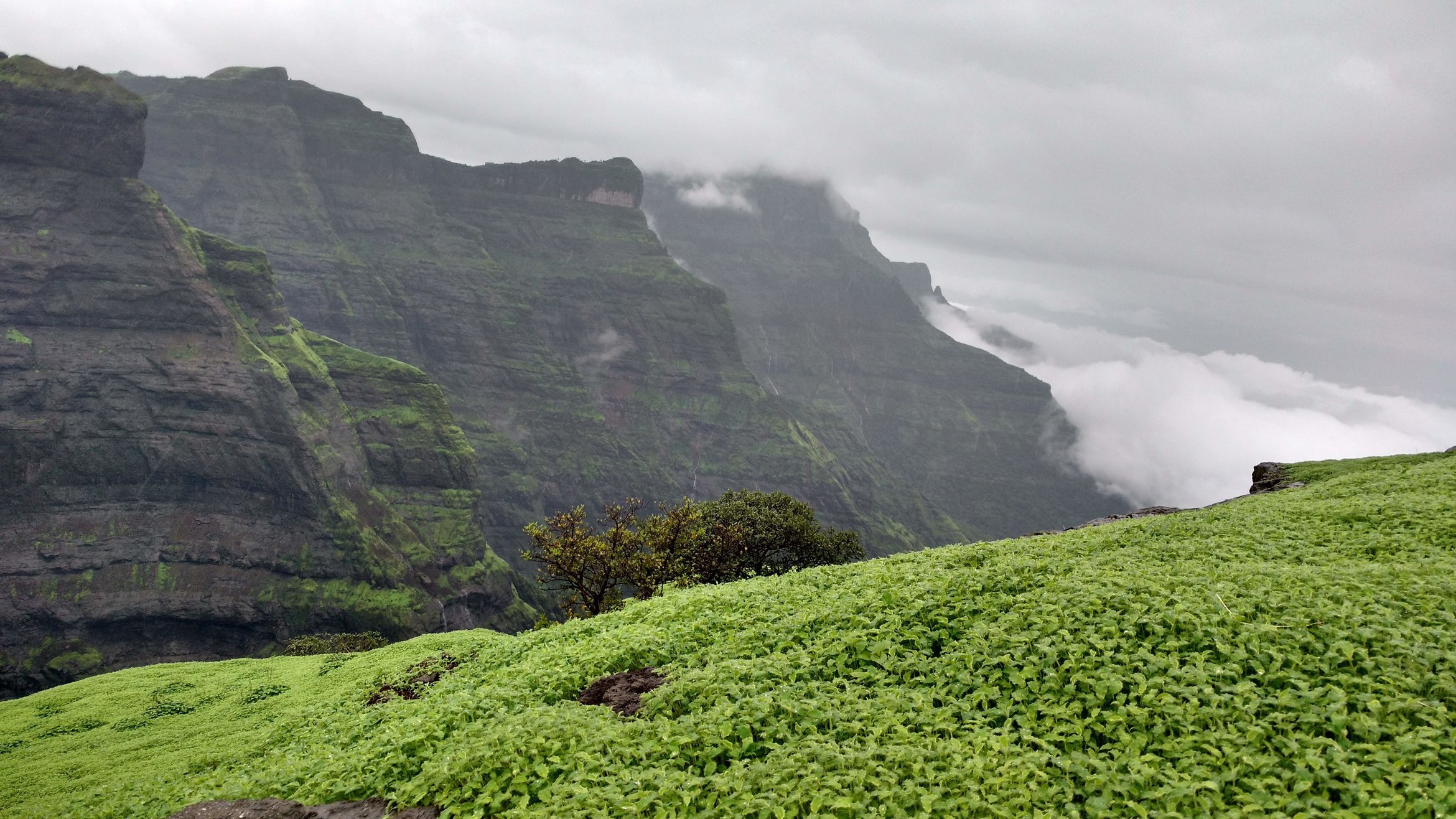 Range Trek from Ratangad to Harischandragad - Tour