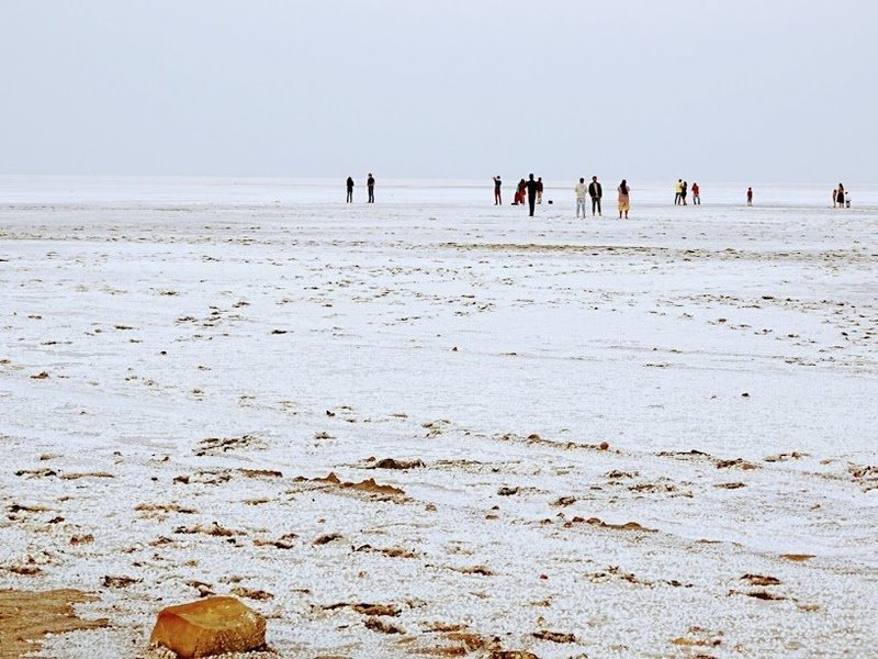 Great Rann Of Kutch – New Year Special - Tour