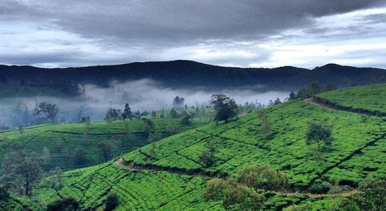 Sri Lanka Backpacking Tour