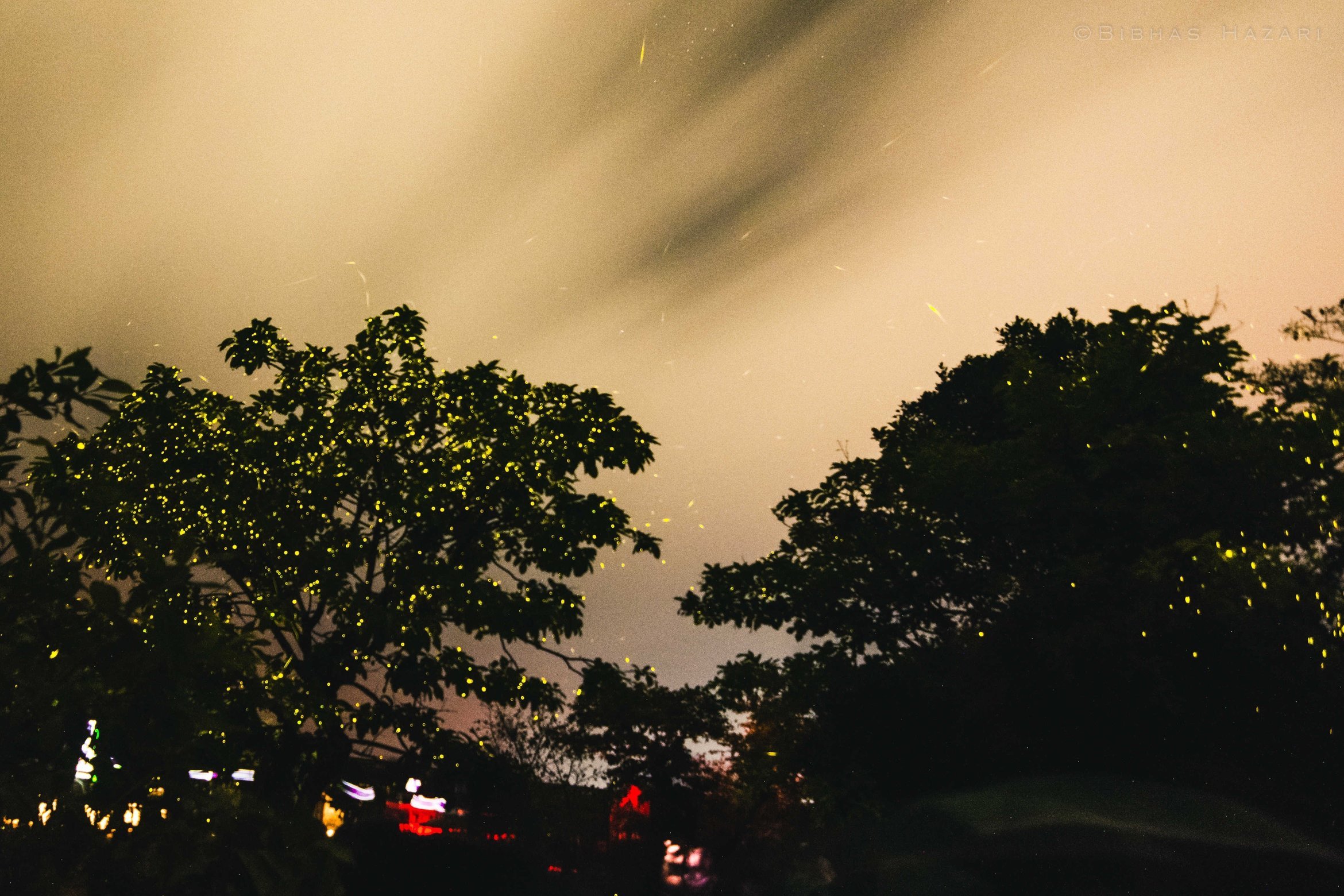 Bhandardara Fireflies Special Camping From Pune - Tour