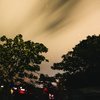 Bhandardara_fireflies_-_9