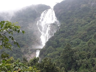 Dudhsagar Waterfall and Tambdi Surla Waterfall Trek