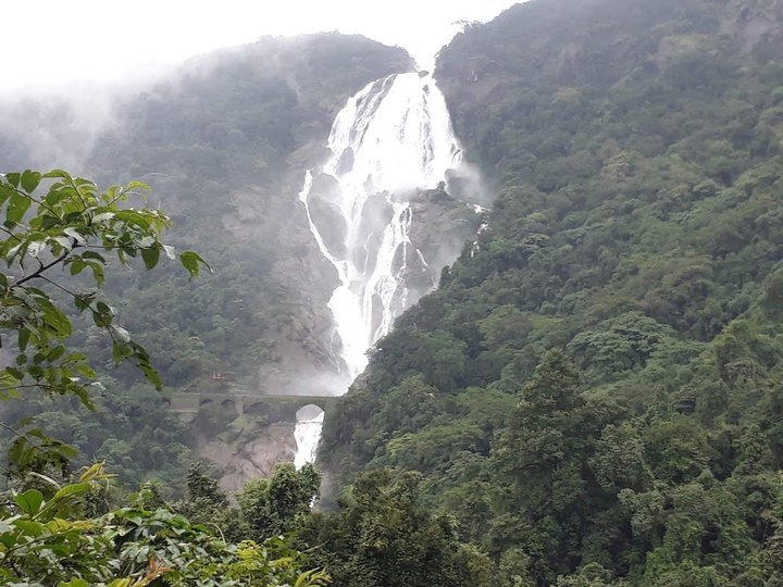 Dudhsagar Waterfall and Tambdi Surla Waterfall Trek - Tour