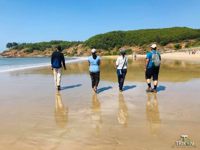 Beach Treks - Collection