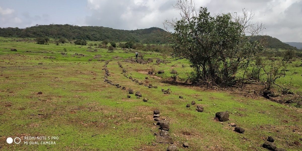 Lonavala- Bhimashankar Range Trek - Tour