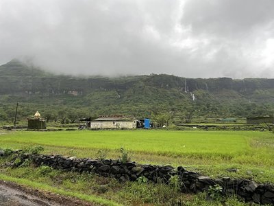 Aadrai Jungle Trek from Mumbai and Pune