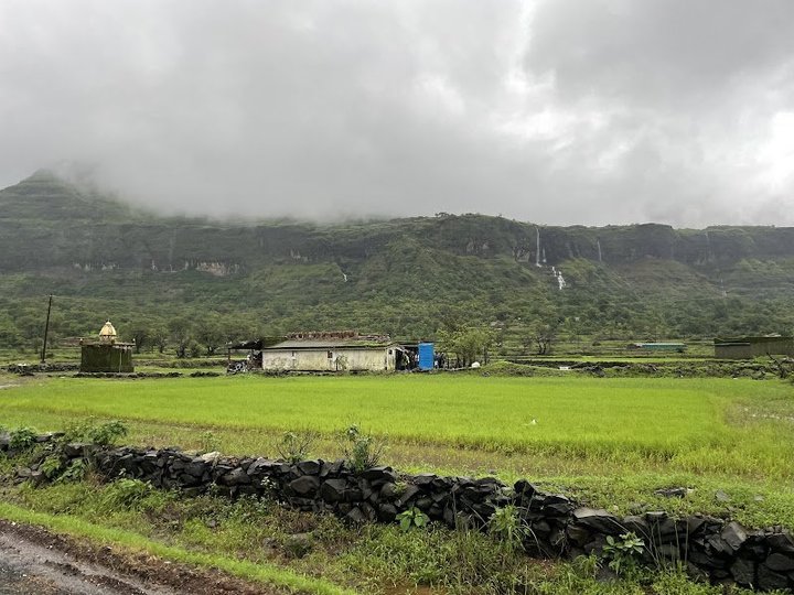 Aadrai Jungle Trek from Mumbai and Pune - Tour