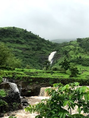 Monsoon Trek To Garbett Plateau