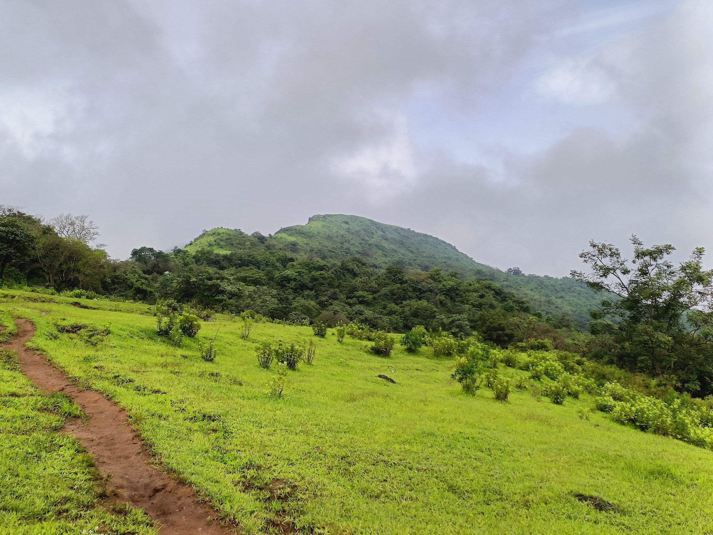 Offbeat trek to Dongarwadi - Tour
