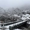 Sikkim Backpacking