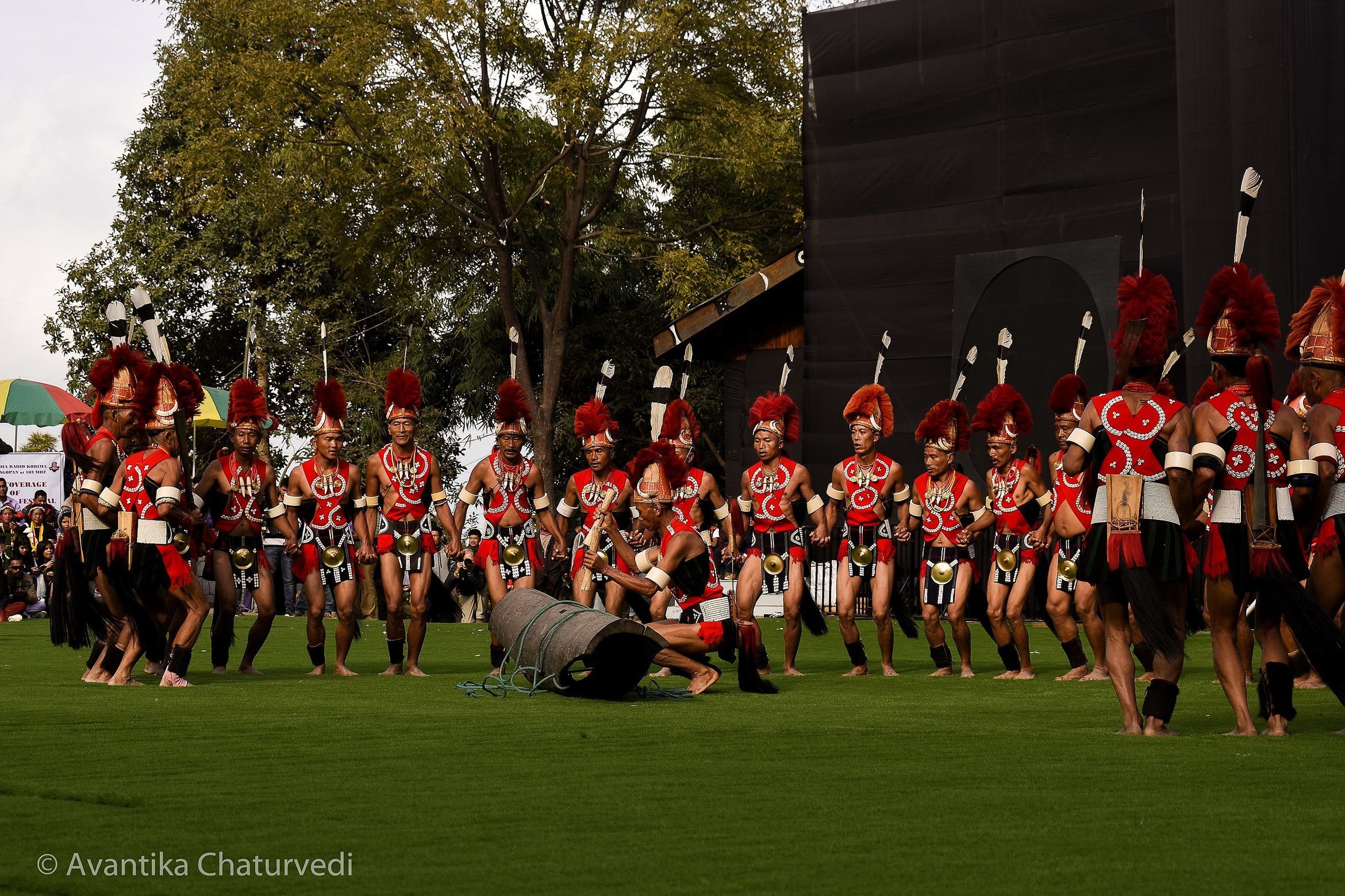 Hornbill Festival , Kaziranga & Dzokou Valley  2025 - Nagaland - Tour