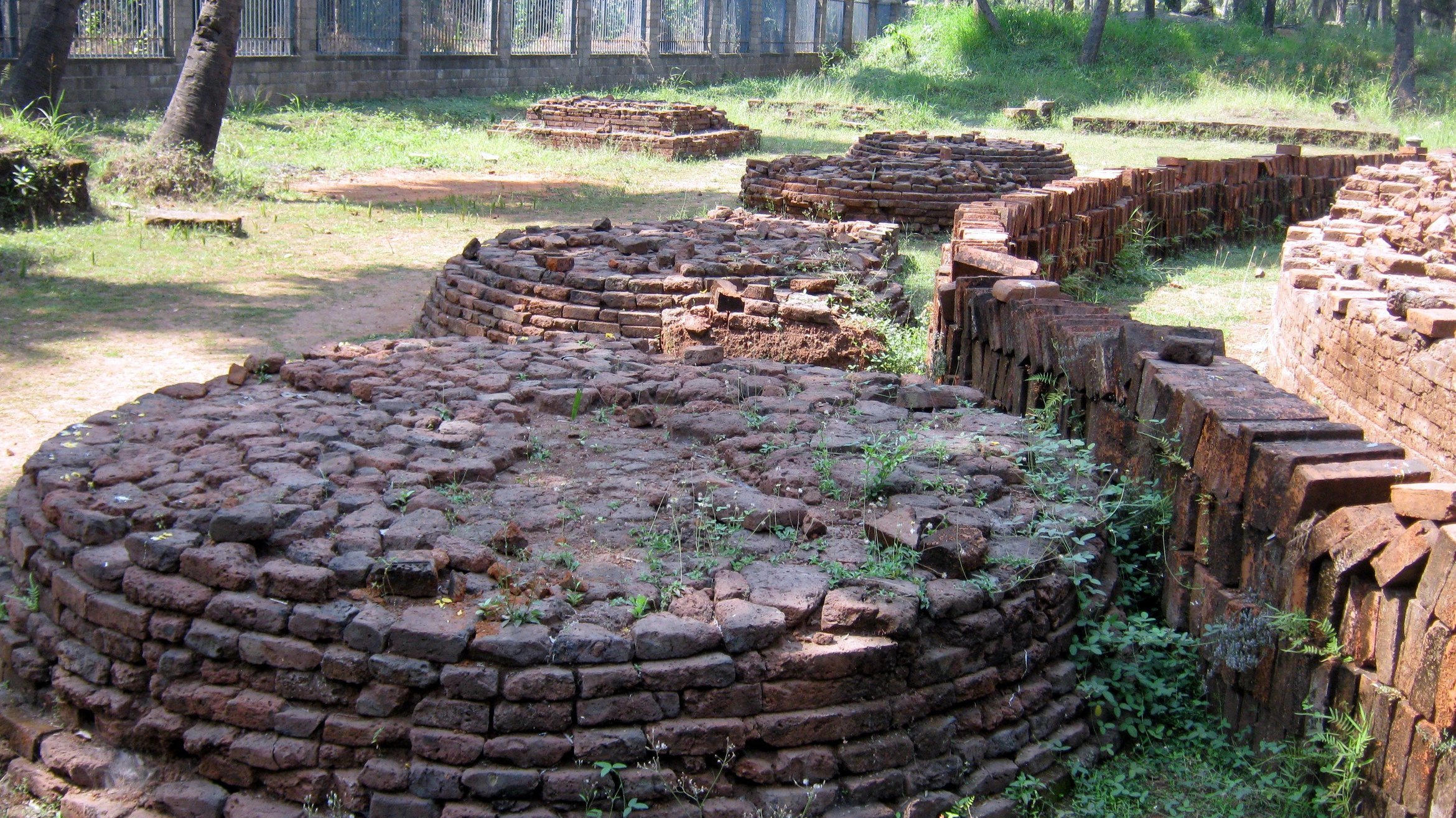 Heritage tour to Nalasopara & Eksar - Tour