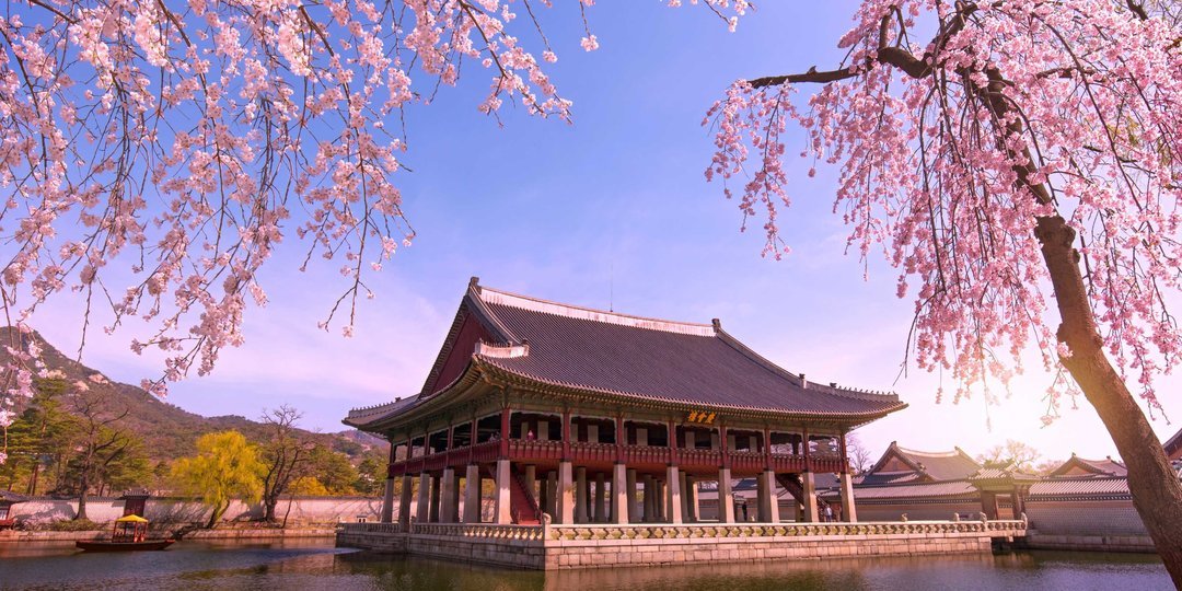 South Korea - Cherry Blossom Trip - Tour