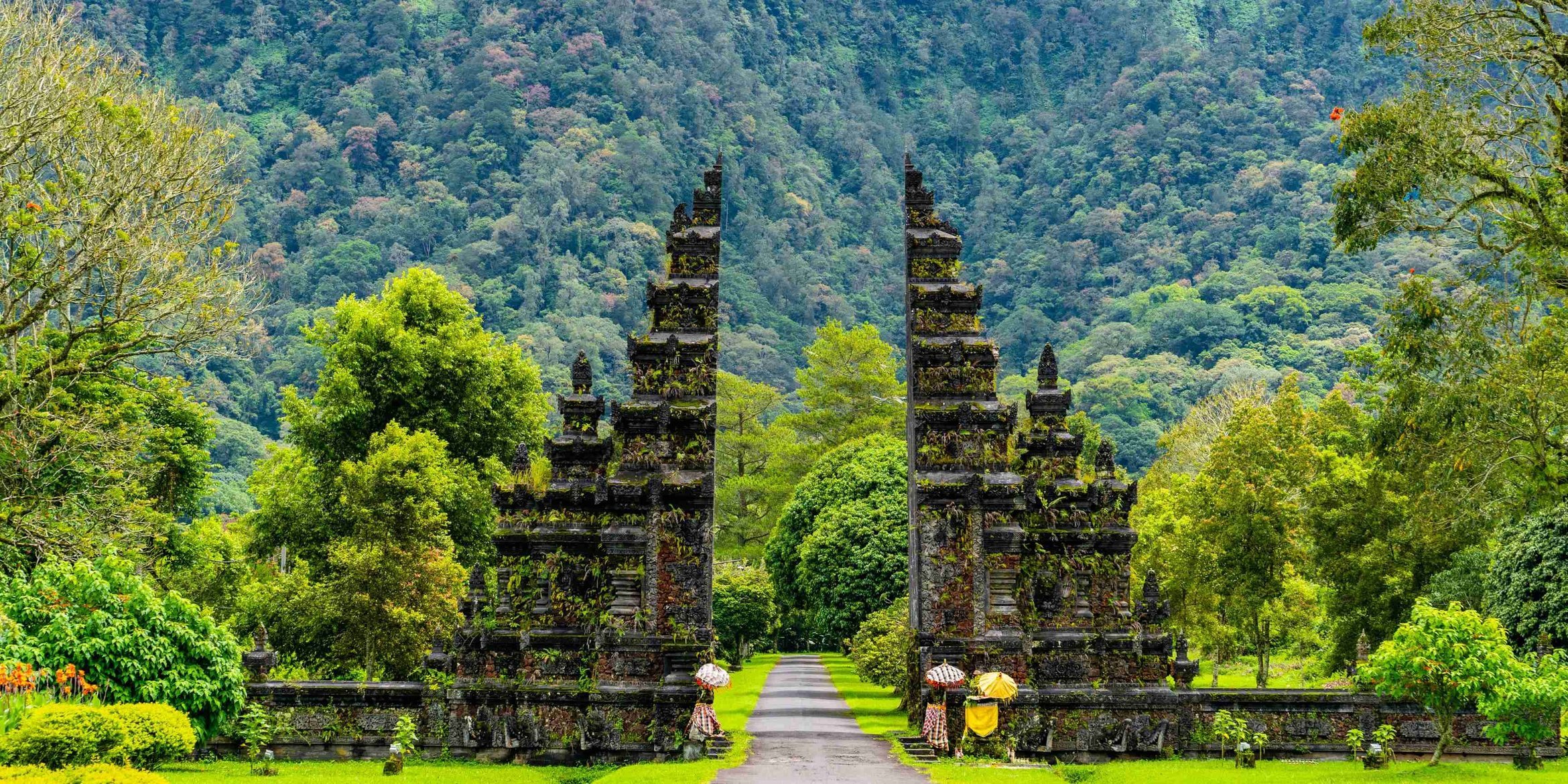 Bali Tour from Mumbai - Tour