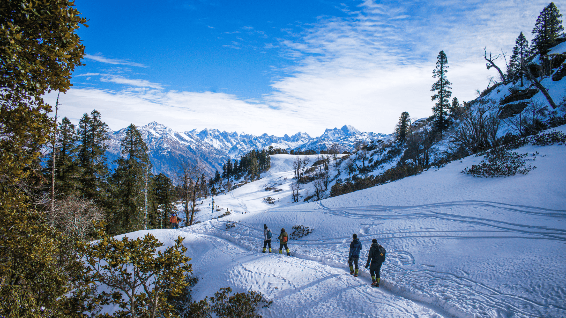 New year celebration in Manali - Tour