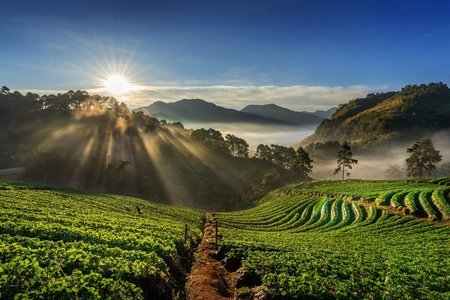 Ooty Kodaikanal Tour